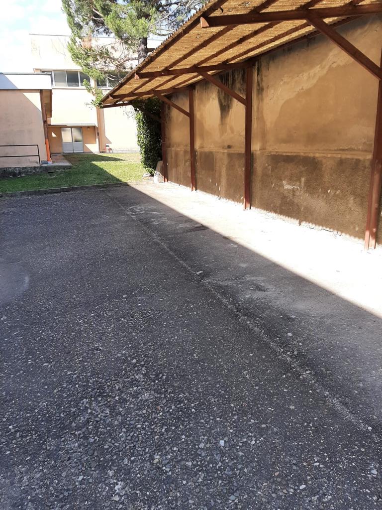 ma_che_bello_tutto_pulito_grazie_0.jpg